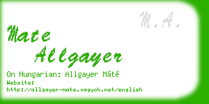 mate allgayer business card